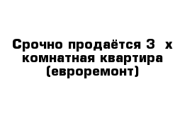 Срочно продаётся 3- х комнатная квартира (евроремонт) 